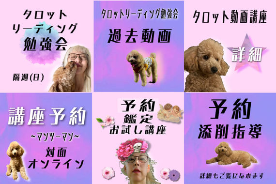 サンプル